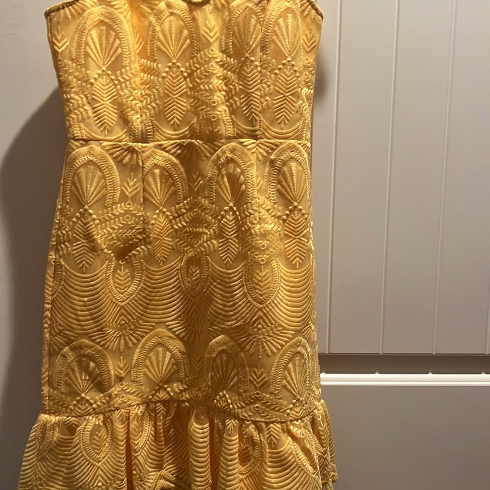 Lulus Shura Embroidered Sleeveless Dress Size X-Small View 4